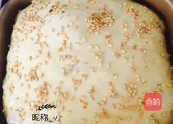 Illustration of how to make yogurt toast 6