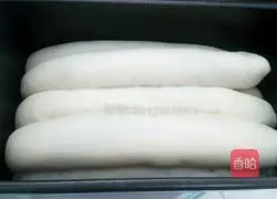 Leopard Illustration of how to make tattooed toast 21