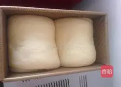 Raisin Toast (Medium Type) Recipe Illustration 7