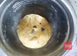 Illustration of how to make seaweed soda crackers 4