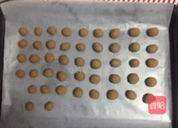 Cocoa Shortbread Biscuits Recipe 6