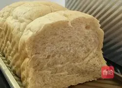 Full Illustration of making wheat toast 6