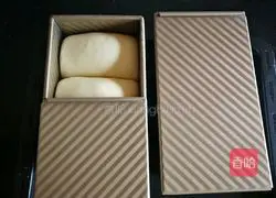 Cranberry milk toast recipe 14