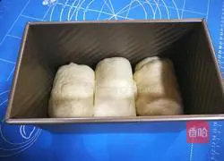 Illustration of how to make mellow milk toast 22