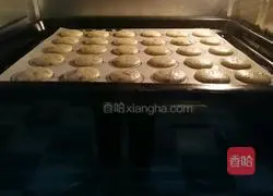 Illustration of how to make dried cranberry pancakes 6