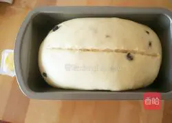 Illustration of how to make Panettone 16