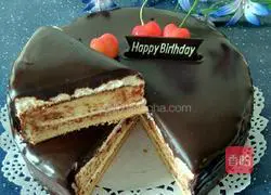 Chocolate mirror cake recipe 11