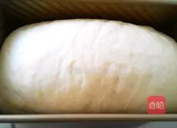 Illustration of how to make two-color toast 12