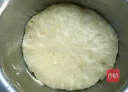 Illustration of how to make no-knead crispy buns 5