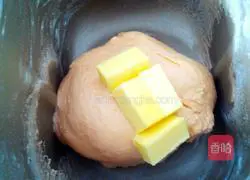 Carrot Toast Illustration of how to make bread 4