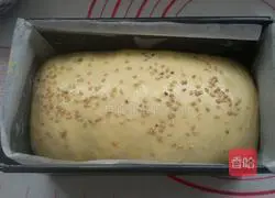 Illustration of how to make two-color toast bread 14