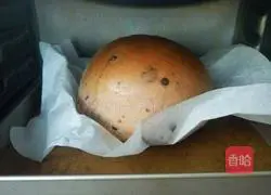 Chocolate Yogurt Bread Recipe Illustration 8