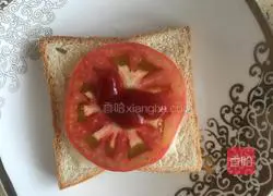 Toast Cheese Egg Burger Recipe Illustration 6