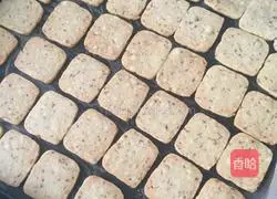 Illustration of how to make sugar osmanthus biscuits 6