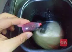 Strawberry Oreo Recipe Illustration 2