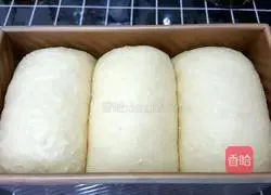 Nanyang Coconut Toast Recipe Illustration 12