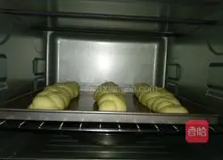 Illustration of braided bread (Polish type) 12