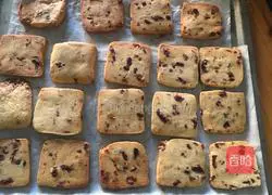 Cranberry Cookies Illustration 10