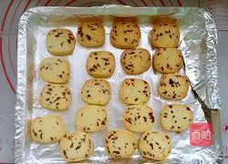 Cranberry Illustration of how to make cookies 14