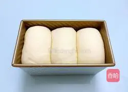 Honey bean toast recipe 15