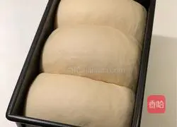 100% whole wheat toast recipe 13