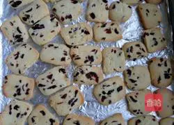 Cranberry Cookie Recipe Illustration 10