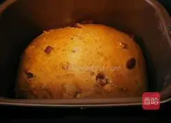 Walnut whole wheat bread recipe 11