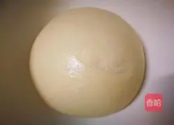 Cheese Baodao Bread Recipe Illustration 5