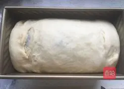 Illustration of how to make three-color toast 13