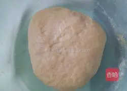 Illustration of how to make small animal cookies 2