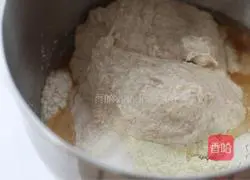 Whole wheat Illustration of how to make toast 4