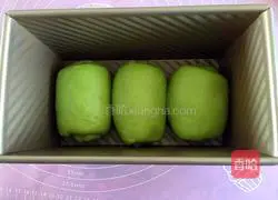 Spinach toast recipe 12