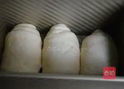 Illustration of making glutinous rice flour toast 13