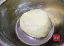 Illustration of how to make Panettone 12