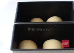 Rice porridge toast recipe 19