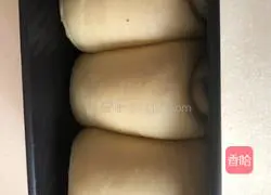 Honey Bread Recipe Illustration 8