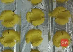 Margarita Biscuits Recipe Illustration 7