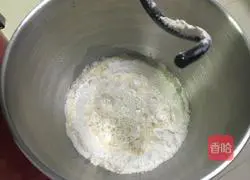 Illustration of how to make plum meal packs 2