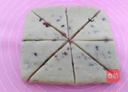 Cranberry whole wheat scone recipe 18