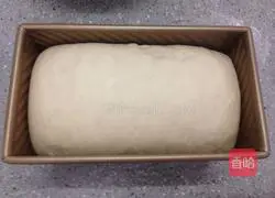 Illustration of making whole wheat medium toast 5