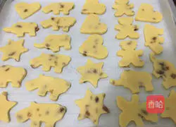 Illustration of how to make animal cookies 9