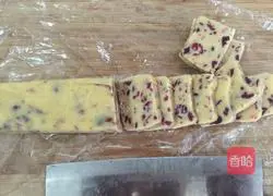 Cranberry Cookies Illustration 9 