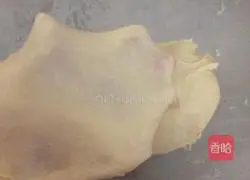 Whole wheat medium Illustration of how to grow toast 2