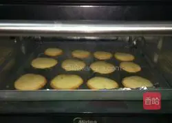 Yoghurt biscuits recipe 14