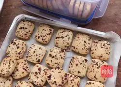 Cranberry Cookies Recipe Illustration 9