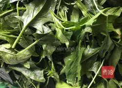 Spinach croissant recipe 1