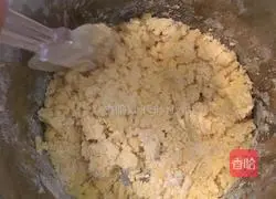 Illustration of how to make animal cookies 3