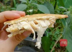 Illustration of how to make peanut beef biscuits 16