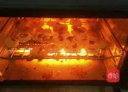 Cranberry Cookies Recipe Illustration 5