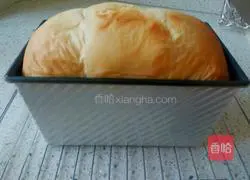 Milk Cranberry Toast Recipe Illustration 15